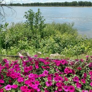 Meet your Posher, Sally